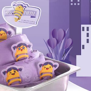 MEC3 Kit Miss Purple