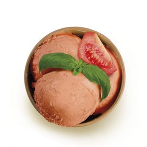 MEC3 BASE SORBETTO GOURMET