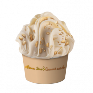 MEC3 QUELLA LEMON LIME E ANACARDI SALATI